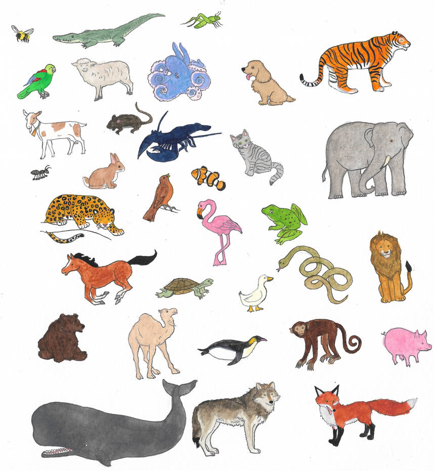All Animals Deviantart Animals by brazilianferalcat on DeviantArt