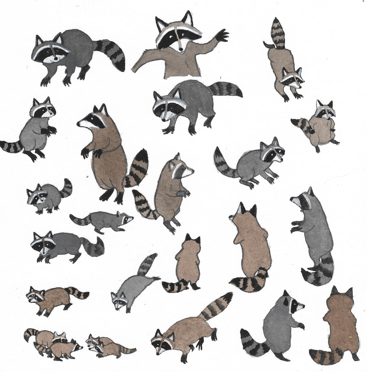 Raccoons by brazilianferalcat on DeviantArt