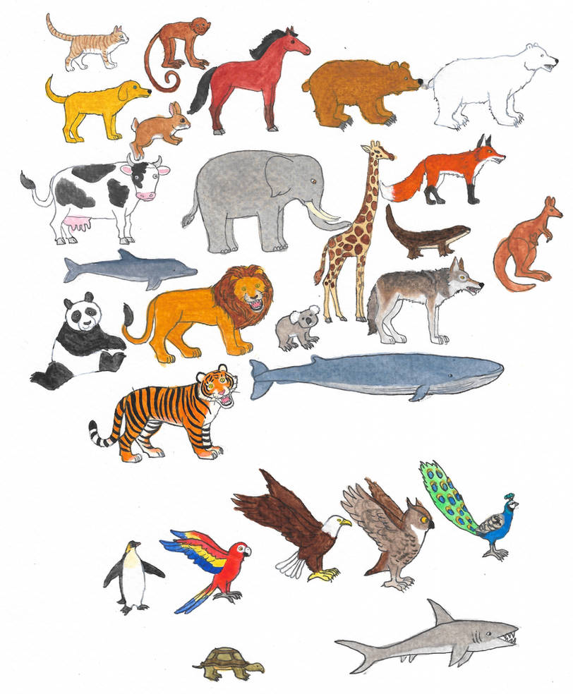 Garanimals Deviantart Animals by brazilianferalcat on DeviantArt