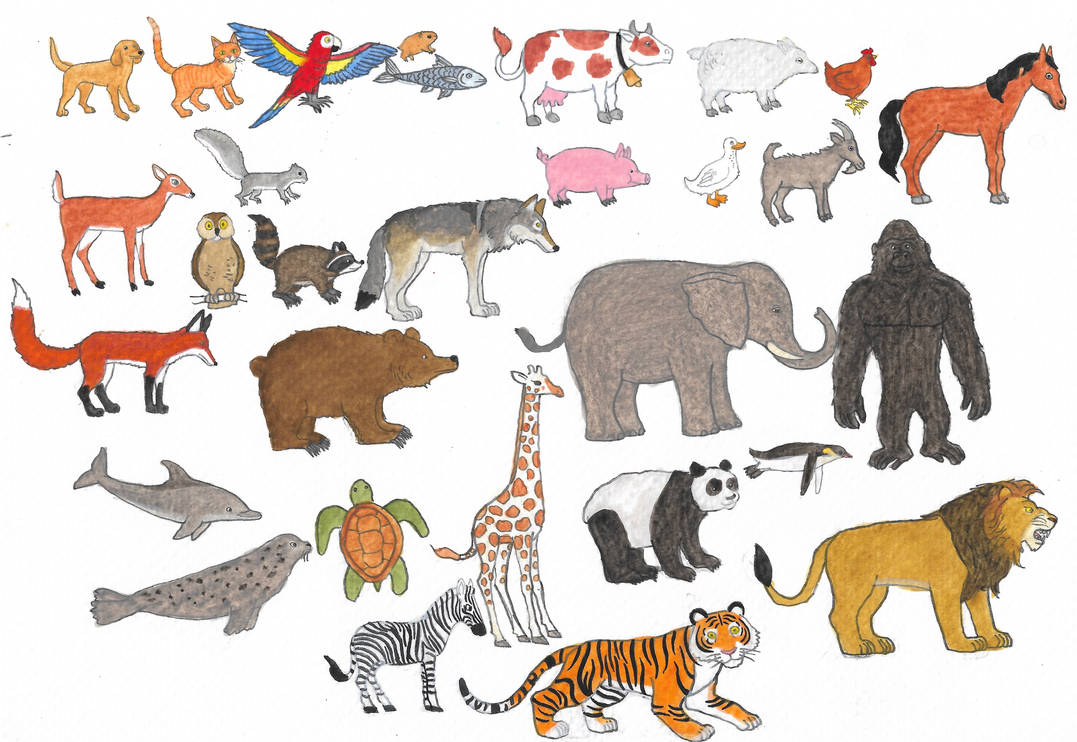All Animals Deviantart Animals by brazilianferalcat on DeviantArt