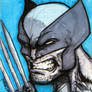Wolverine quick sketch w markers