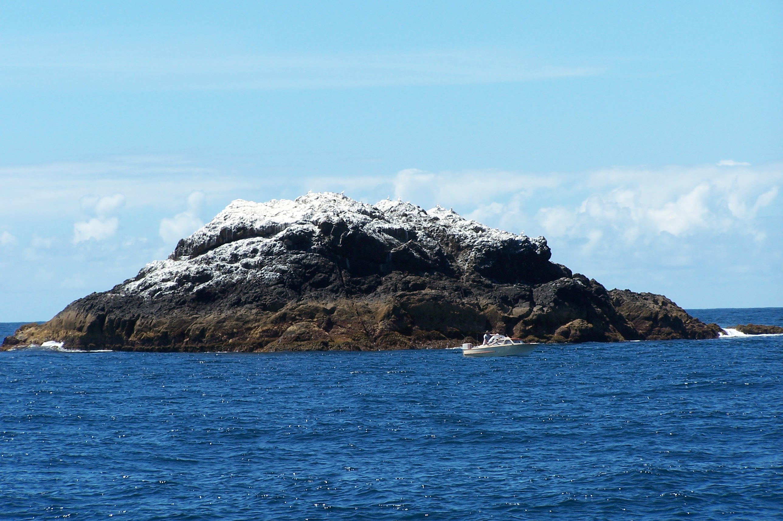 Bird Poo Island