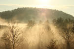 Morning Fog by ChristyTortland Morning Fog by ChristyTortland