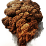 Mushroom cloud stock