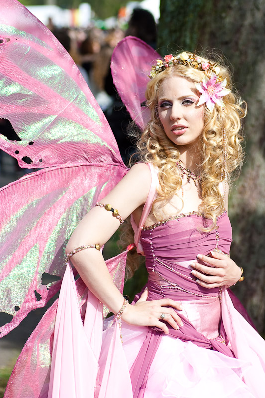 Elf Fantasy Fair 5