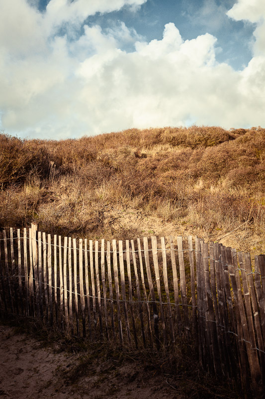 La Dune Marchand