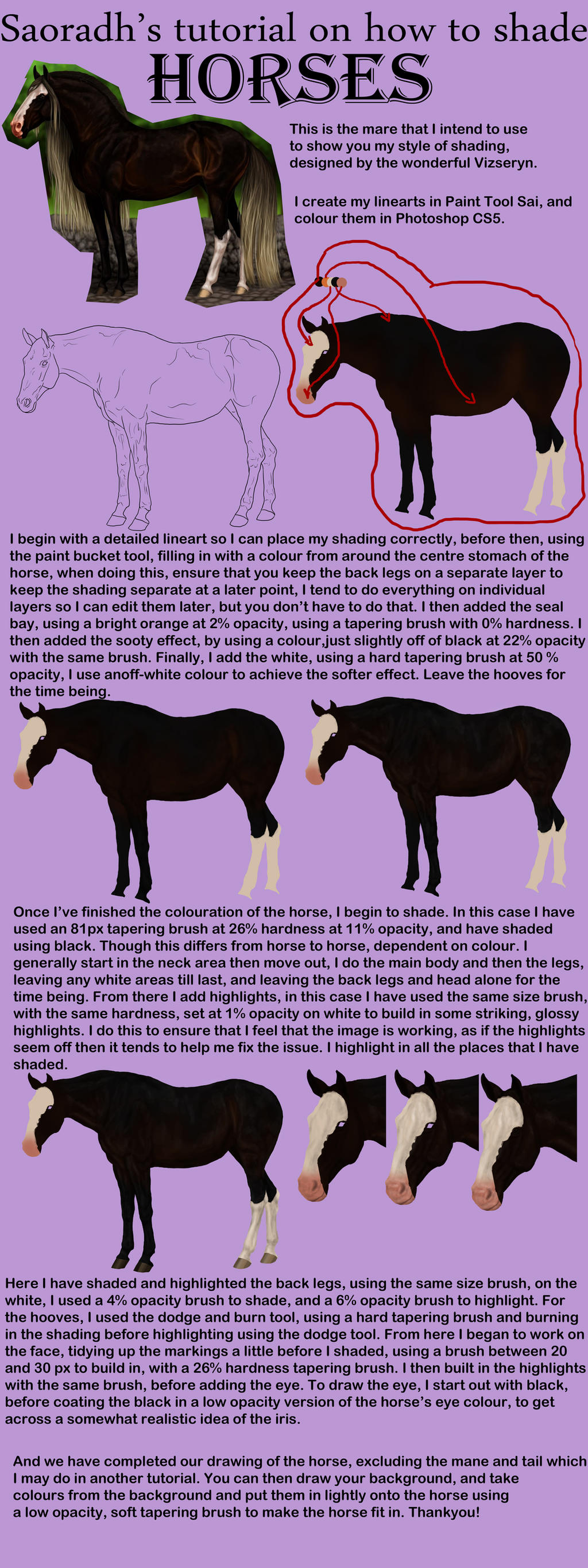 Tutorial On How I Shade Horses By Saoradh On DeviantArt