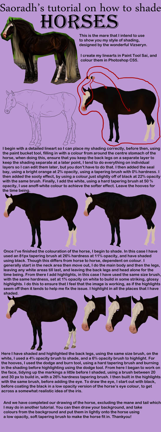 Tutorial On How I Shade Horses By Saoradh On DeviantArt