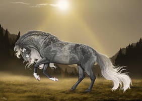 The Feel of the Hunt