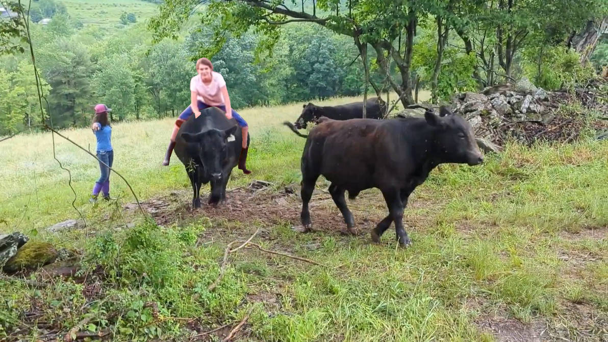 Ra Riding Cow The Girl Is Riding A Black Angus Cow by maxamizerblake on DeviantArt