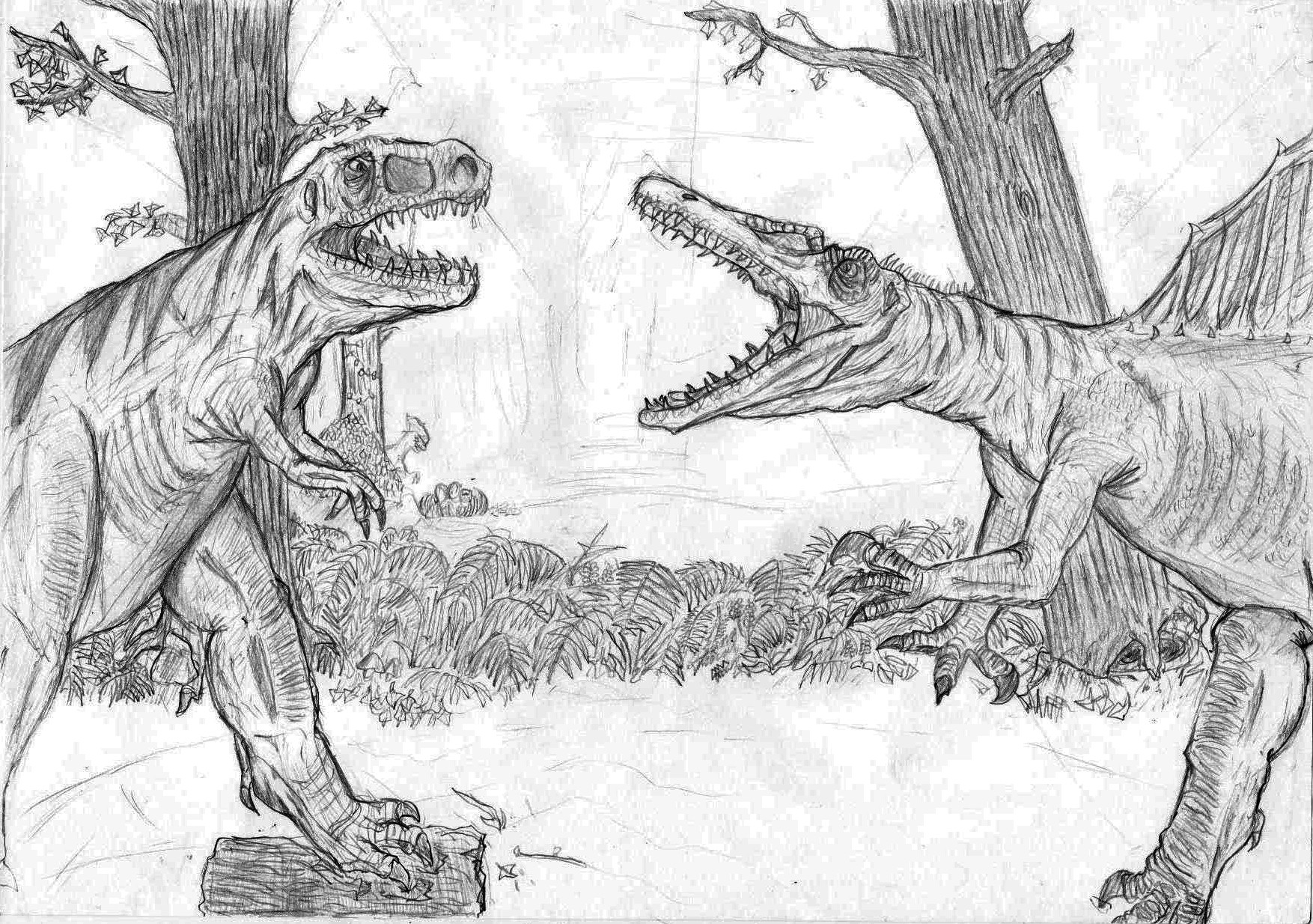 spinosaurus vs t rex drawing