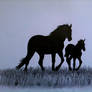 Mare and Foal Silhouette Style