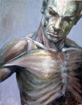 Anatomy Self Portrait by angotti81