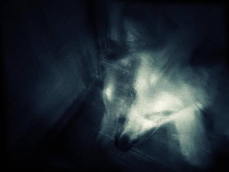 Ghostdog