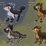 Mightyena Variations