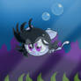 Gift- Swimmin' Kitten