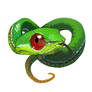 Taiwan Snake: Trimeresurus stejnegeri