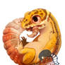 Leopard Gecko