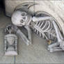 Skeleton