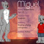 Reference Sheet: Miguel