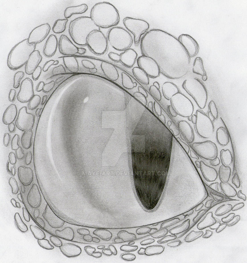 Toothless Eye by Maye-Art on DeviantArt