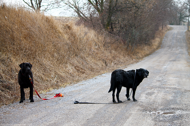 On A Country Road.