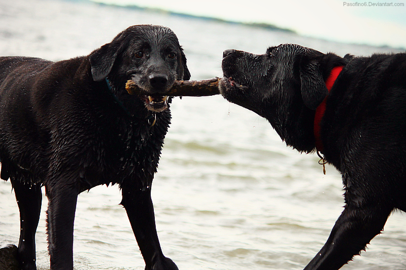 Tug Of War.