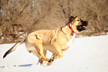 There's My Stick!