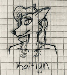 NMWTS - Comic Headshot - Kaitlyn