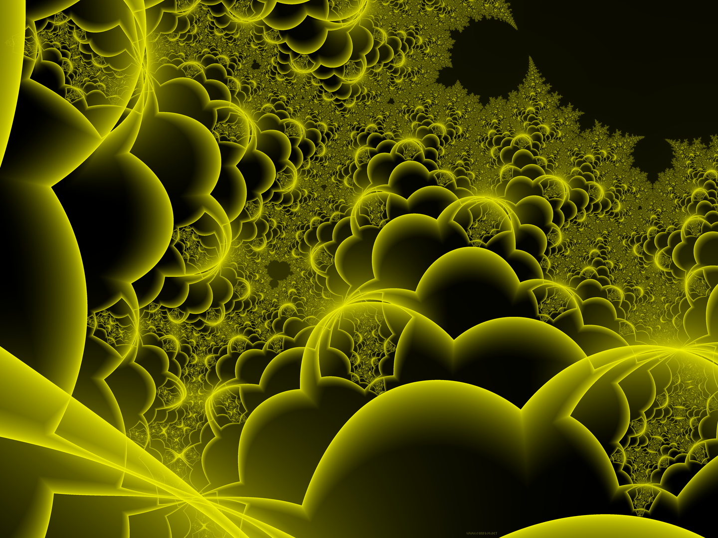 Fd Mandelbrot 14