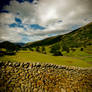 Cumbria VIII Redux