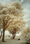 The Park Infrared by DavidCraigEllis