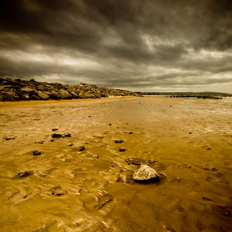 Low Tide