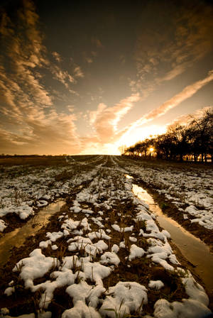 Snow Field II