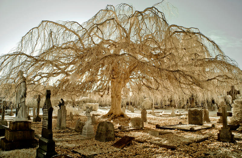 Infrared Churchyard