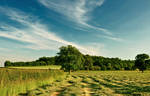 The Long Way Home II by DavidCraigEllis