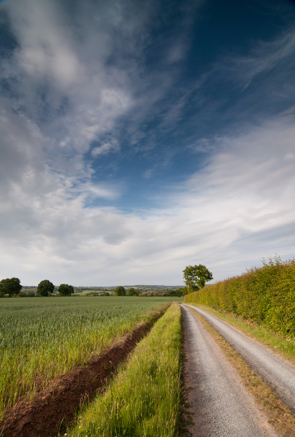 A Country Lane