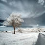 .: Dream Road :.