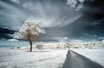 .: Dream Road :. by DavidCraigEllis