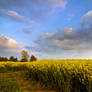 .: Herefordshire Skies :.