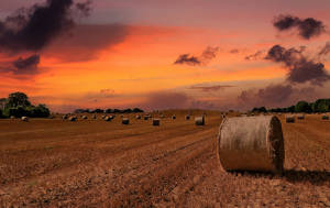 Herefordshire New Skies 3