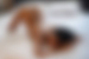 Illy 8