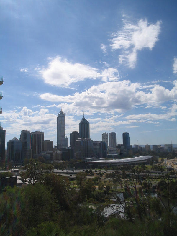 The City View From Kings Park