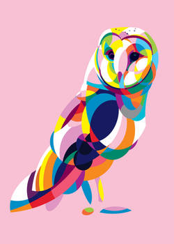 Colorful Tyto Alba Owl