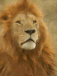 Nobel Lion Oil Painting