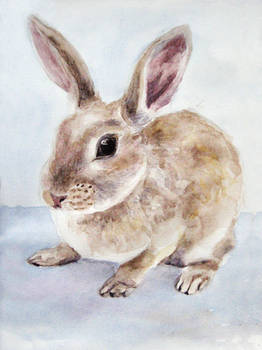 Watercolor Rabbit