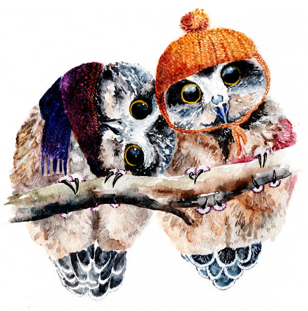 Winter Owls