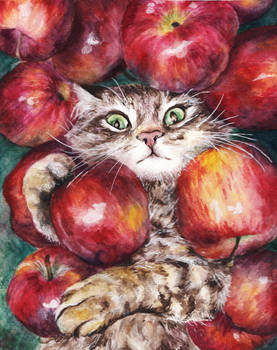 Apple cat