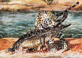 Jaguar and Crocodile