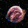 Kepler Supernova